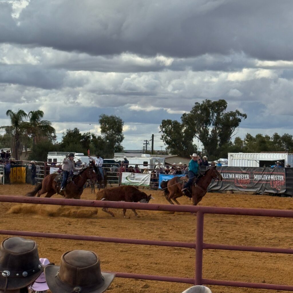 Crowd enjoying rodeo events at Mullewa Muster - AU Buckets | Excavator Buckets, Attachments, Heavy Equipment Hire and Wear Parts Crowd enjoying rodeo events at Mullewa Muster